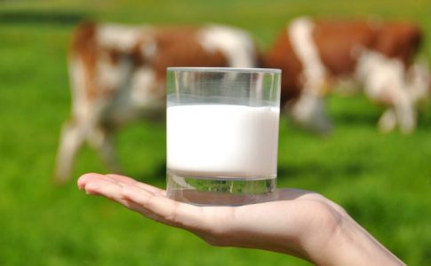 alternative al latte di mucca