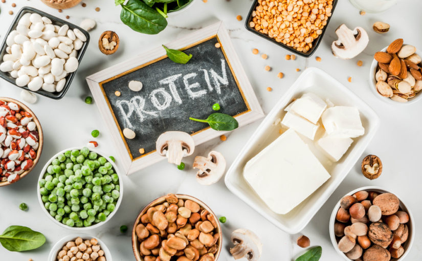 Cosa distingue le proteine vegetali dalle proteine animali?